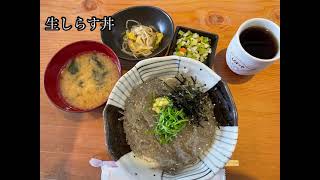 【Vlog】生しらすを食べに江の島へ行く