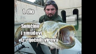 SOMčine i SMUĐevi na SHAD silikonske ribice (jiganje, đig) SG Cannibal 1 dio / VSP Igor Pavičić