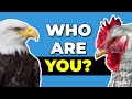 The Eagle And The Chicken - Who Are You? | Most Inspiring Story