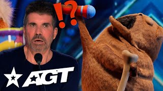 A Singing Dog on America's Got Talent?! Noodle and Bun Perform for Simon Cowell!