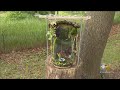 Fairy Houses Popping Up Across Chicago Nature Areas