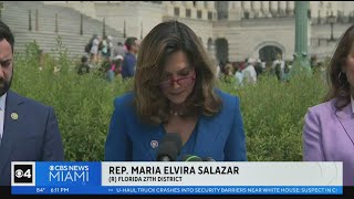 Immigration reform bill introduced by South Florida Rep. Maria Elvira Salazar
