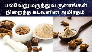 Asafoetida- Unknown Health Benefits | பெருங்காயத்தின் பல்வேறு மருத்துவ குணங்கள் | பயன்கள்