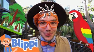 Pirate Blippi Explores The San Diego Zoo | Learning Animals for Kids | Educational Videos for Kids