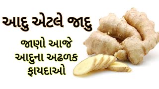 આદુના ફાયદાઓ- Benefits of Ginger- Aadu na Fayda- Adrak ke fayde- अदरक के फायदे