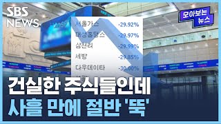 건실한 주식들인데…일제히 폭락한 주가, 누구 소행? / SBS / 모아보는 뉴스