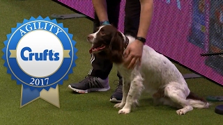 Agility - Crufts Large Novice and Medium ABC Jumping Final (Part 1) | Crufts 2017