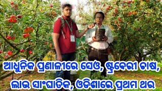 Advance Apple, Strawberry and exotic fruit farming in Odisha explained in Odia by Orchid Bio tech