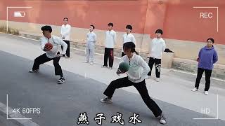 【速麦苌家拳·杨】 锻炼周身各处的小妙招来了—燕子戏水#运动#功夫