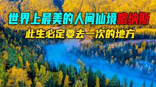 美到令人心醉的喀纳斯，堪称人间仙境，此生必定要去一次的地方【途说视界】