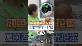 （3）颜色清爽飘花镯，薅的老林都语无伦次了！！！#翡翠 #翡翠手鐲 #缅甸翡翠 #天然翡翠 #翡翠玉石 #翡翠a玉 #翡翠a貨 #翡翠手镯 #翡翠吊墜 #翡翠挂件