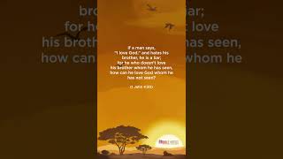 Bible Verses Status 1 John 4 20