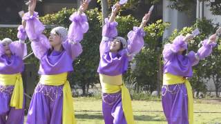 小俣組（2014湘南よさこい）2