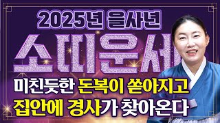 🌟2025년 을사년 대박나는 소띠운세🌟인생을 뒤바꿀 대운이 온다?! 2025년 x월 생각지 못한 큰 돈이 들어옵니다! 새로운 한해 돈복 인복 만복 다 들어오는 행운의 소띠 운세!