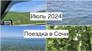 ВЛОГ | Рванули в Сочи 🌴 Лучший пляжный отдых 🌊