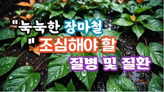 장마철 조심해야 할 질병 및 질환#지혜로운생활#건강한생활#장마철#질환과질병#식중독#곰팡이피부염과무좀#호흡기질환과눈병#냉방병#관절염악화