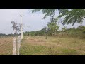 land for sale in jadcherla bangalore highway bit bh005