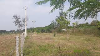 Land for sale in Jadcherla |Bangalore Highway Bit|BH005