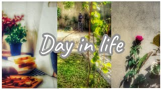 මුළු දවසම මාත් එක්ක | My full day routine|sandwich recipe 🍂🪴🥪 | #twinmom🌷 | #srilanka 🇱🇰