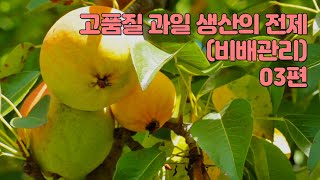 과수원 효율적 관리방법 03편