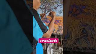 อารมณ์ตอซัง  #painting #paletteknife  #art #oilpainting  #painter