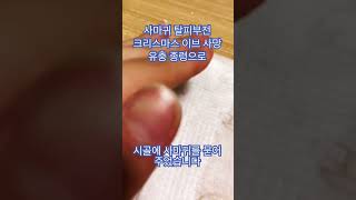 내가 키우던 사마귀 탈피부전으로 사망