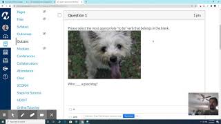 Canvas Questions with Multiple Dropdowns