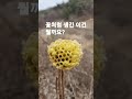 상상_선우정아 산길을 걷다가 자연 벌집일 확률 99퍼센트