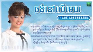 Aok Sokun Kanha New Songs 2014► Jong Nov Ler Mek, ចង់នៅលើមេឃ, Kanha   YouTube 2