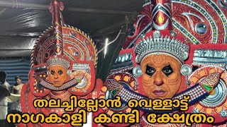 തലച്ചില്ലോൻ വെള്ളാട്ട് |  ഹരീഷ് തുവ്വക്കോട് | നാഗകാളി കണ്ടി ക്ഷേത്രം #manayolakoyilandy #youtube