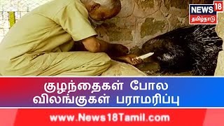 கிண்டி சிறுவர் பூங்காவில் விலங்குகளை குழந்தைகளை போல பராமரிக்கும் ஊழியர்கள் | Guindy Park Chennai