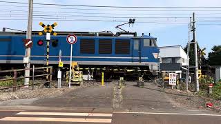 新潟県近郊のコンテナ列車　高速貨物A               4075レのスジで遅れ4061レ 大阪(タ)〜札幌(タ)