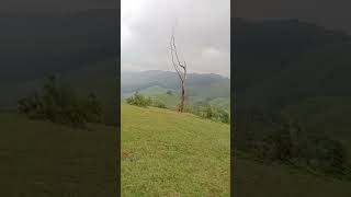 സ്വർഗ്ഗങ്ങൾ സ്വപ്നം കാണും നാട് #idukki #nature #travel