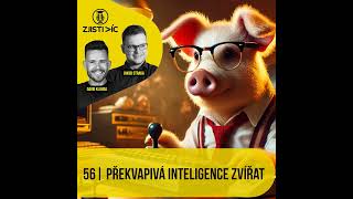 56 - Překvapivá inteligence zvířat