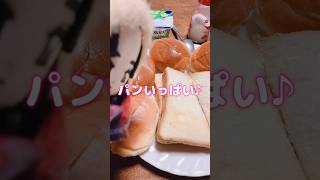 【SnowMan目黒蓮くん推し活ライフ】めめたん♪今日の朝ごはんはホットサンドっ♪ #shorts