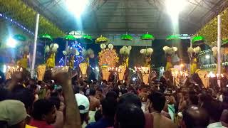 Palluruthy Sree Bhavaneeswara temple pooram