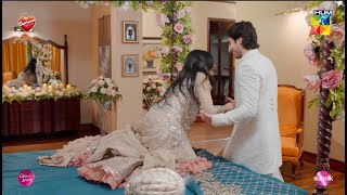 Aj Ki Raat Khoob Masti Hogi...! #seharkhan #hamzasohail - Fairy Tale - HUM TV