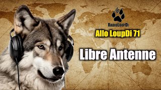 Allo LoupDi 71 - Libre Antenne