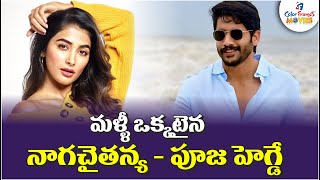 మళ్ళీ ఒక్కటైన నాగచైతన్య - పూజ హెగ్డే | Once again Naga Chaitanya pairing with Pooja Hegde