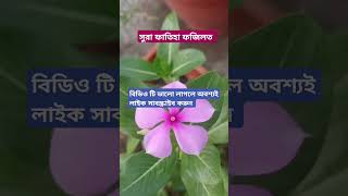 ইসলামী বিডিও #viralvideo #foryou #new shorts video #shortsvideo #new TikTok shorts video