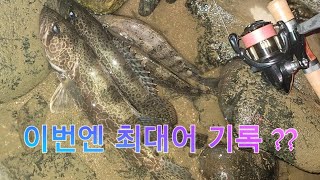 한탄강 쏘가리낚시 ep.8