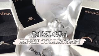 💍PANDORA RINGS COLLECTION💍/ 내돈내산 판도라 반지 추천/ 데일리 반지 추천/ 판도라 반지 하울하기/ 나만의 반지소개 하울