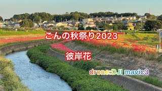 ごんの秋祭り彼岸花 2023 ドローン空撮