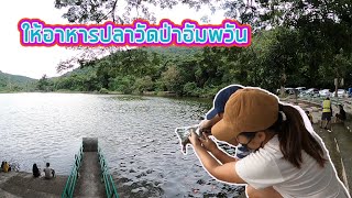 วัดป่าอัมพวันหนองรีชลบุรี