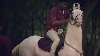 ഈ കുതിര വെള്ളം കണ്ടാൽ നിക്കില്ല കേട്ടോ | kerala horse riding | Marwari |