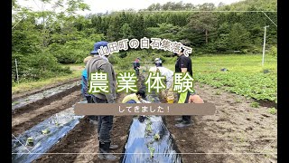 【岩手県　山田町】白石集落で農業体験をしてきました！