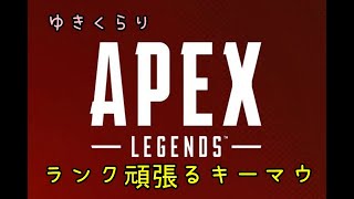 S42APEX  ランク がんばる　APEX好きな人一緒にやりませんか