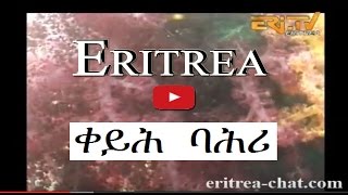 Eritrean Kurnah Tzibake - The Beauty of the Diving Paradise In The Red Sea