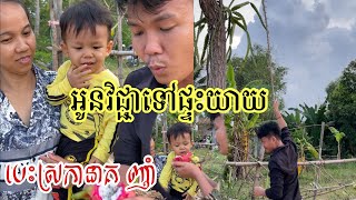 អូនវិជ្ជាទៅផ្ទះយាយ​ បេះផ្លែស្រកានាគញាំ​ ផ្អែមណាស់