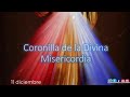 📿Coronilla a la Divina Misericordia 11 de diciembre